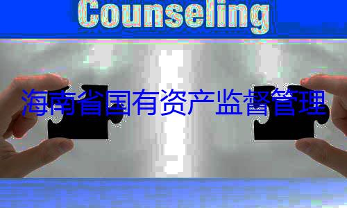 有福接受审理委员会党资产监督管查调查海南省国有委副书记王